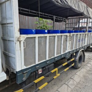 Chất hóa dẻo DOP (phuy bán sỉ)