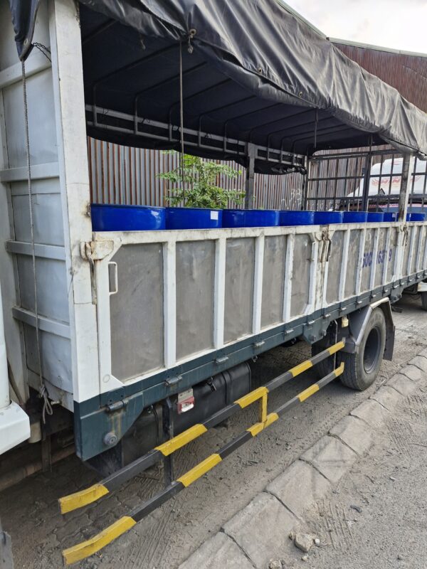 Chất hóa dẻo DOP (phuy bán sỉ)